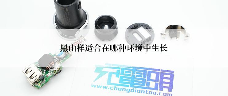 黑山样适合在哪种环境中生长