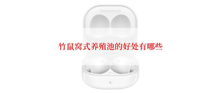 竹鼠窝式养殖池的好处有哪些