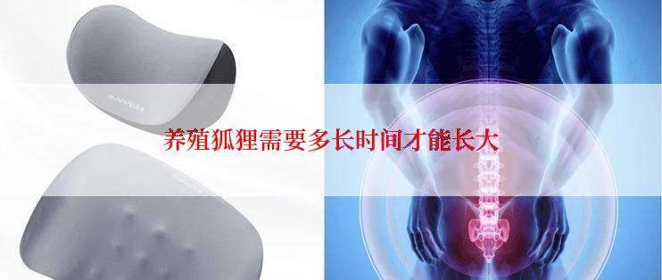 养殖狐狸需要多长时间才能长大
