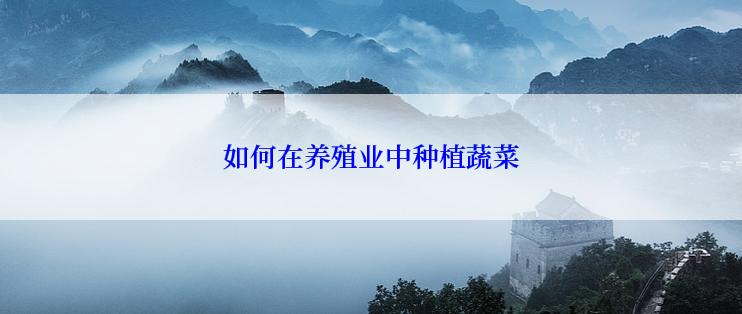 如何在养殖业中种植蔬菜