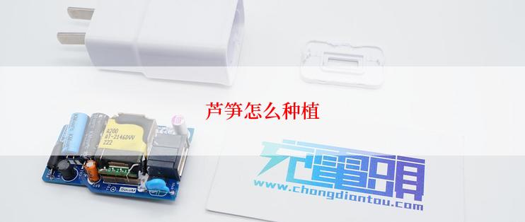 芦笋怎么种植
