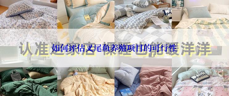 如何评估叉尾鱼养殖项目的可行性