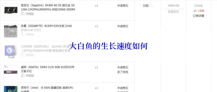 大白鱼的生长速度如何