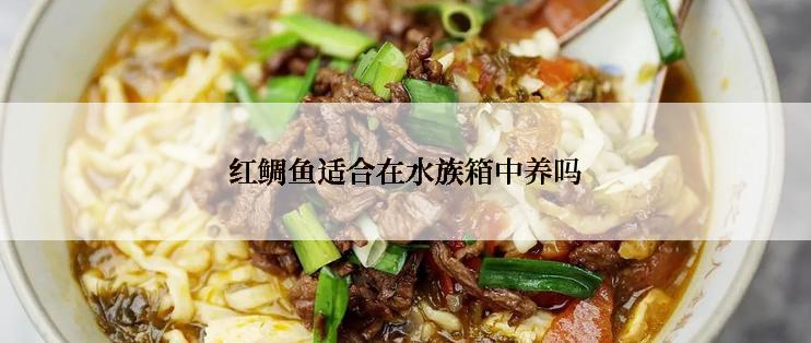 红鲷鱼适合在水族箱中养吗