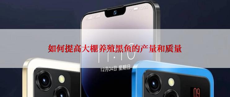 如何提高大棚养殖黑鱼的产量和质量