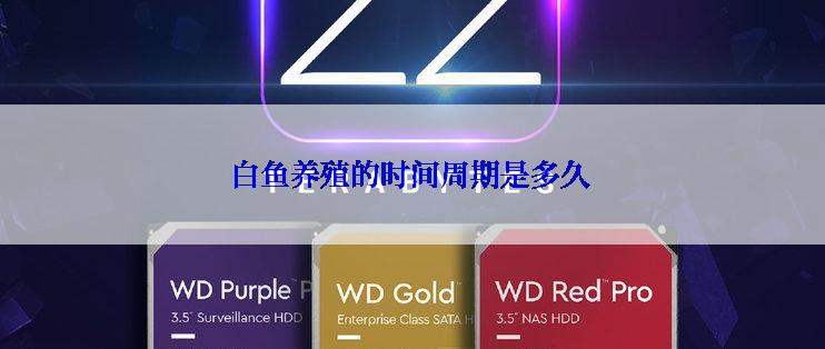 白鱼养殖的时间周期是多久