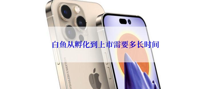 白鱼从孵化到上市需要多长时间