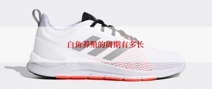 白鱼养殖的周期有多长