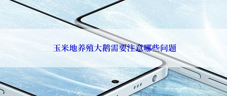  玉米地养殖大鹅需要注意哪些问题