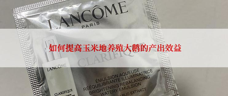  如何提高玉米地养殖大鹅的产出效益