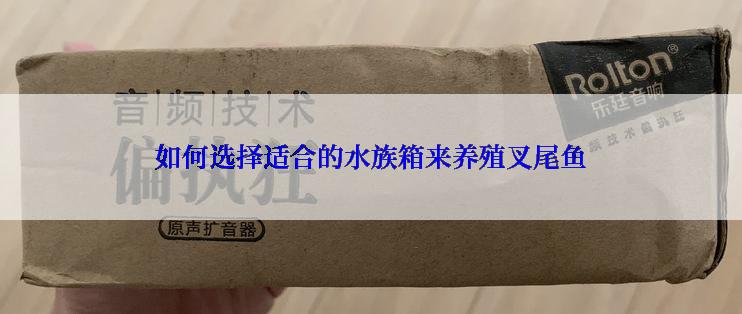 如何选择适合的水族箱来养殖叉尾鱼