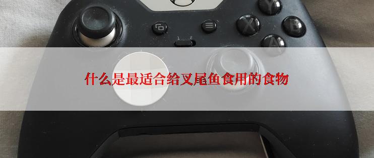 什么是最适合给叉尾鱼食用的食物