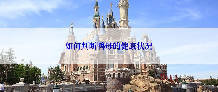 如何判断鸭母的健康状况