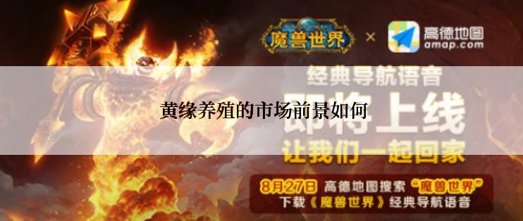  黄缘养殖的市场前景如何