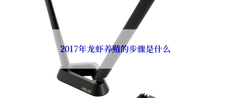 2017年龙虾养殖的步骤是什么