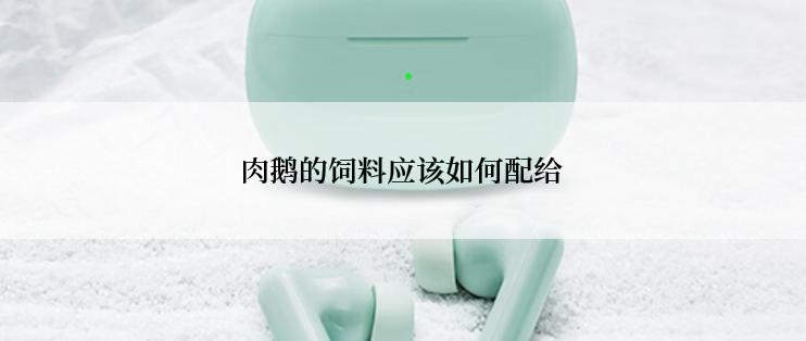 肉鹅的饲料应该如何配给