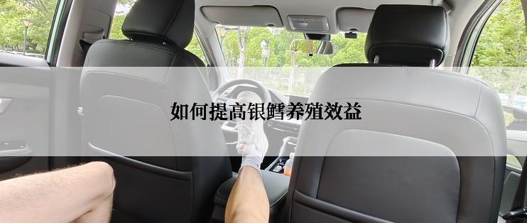  如何提高银鳕养殖效益
