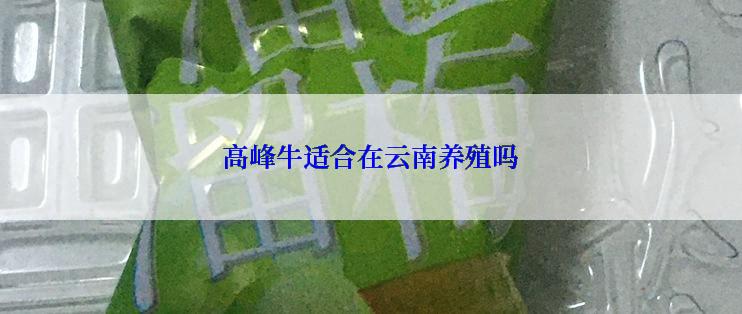 高峰牛适合在云南养殖吗