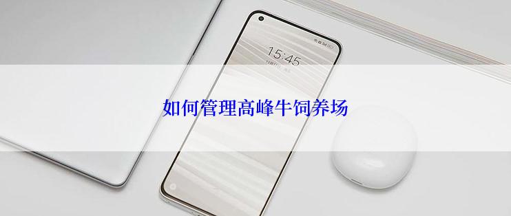 如何管理高峰牛饲养场