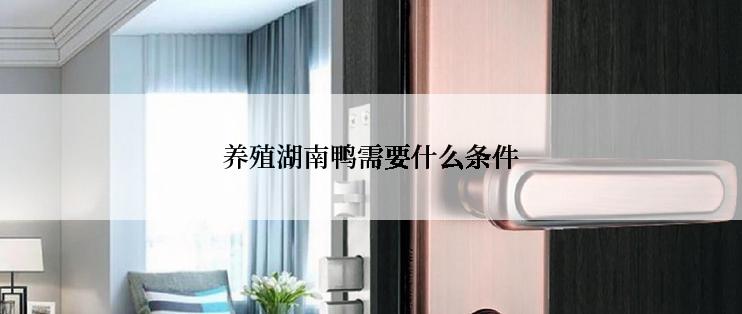养殖湖南鸭需要什么条件