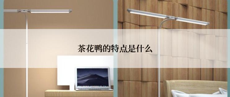 茶花鸭的特点是什么