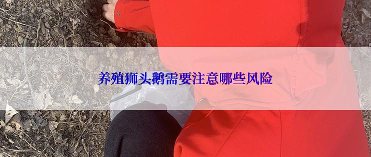 养殖狮头鹅需要注意哪些风险