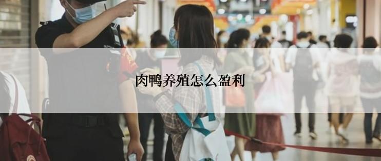 肉鸭养殖怎么盈利