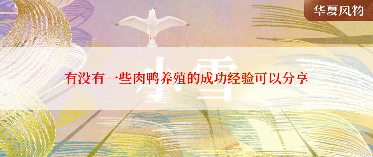 有没有一些肉鸭养殖的成功经验可以分享