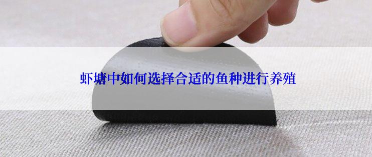  虾塘中如何选择合适的鱼种进行养殖