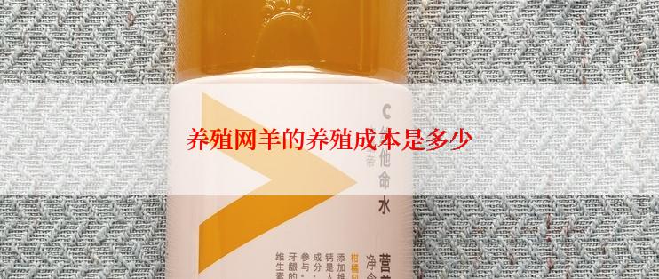 养殖网羊的养殖成本是多少