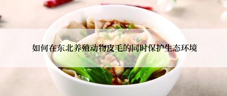 如何在东北养殖动物皮毛的同时保护生态环境