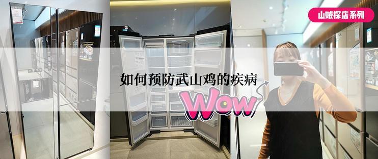如何预防武山鸡的疾病