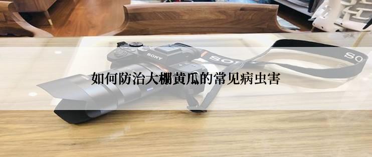 如何防治大棚黄瓜的常见病虫害