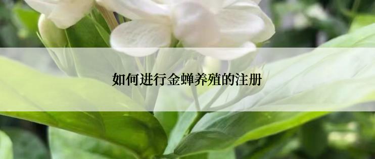 如何进行金蝉养殖的注册