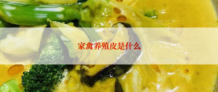 家禽养殖皮是什么