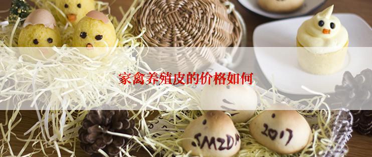 家禽养殖皮的价格如何