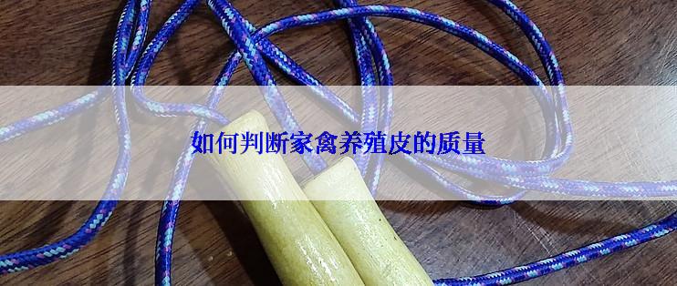 如何判断家禽养殖皮的质量