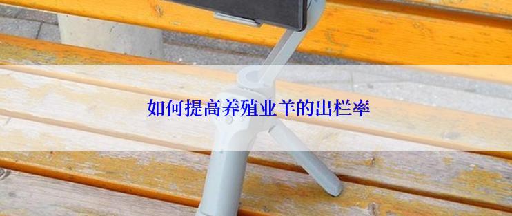  如何提高养殖业羊的出栏率