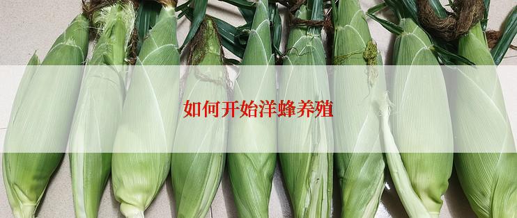 如何开始洋蜂养殖