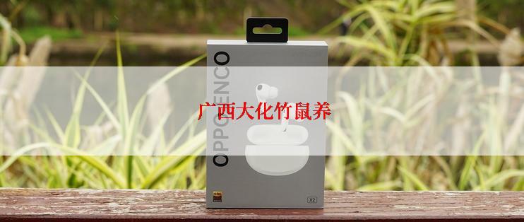  广西大化竹鼠养