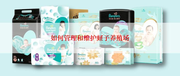 如何管理和维护蛏子养殖场