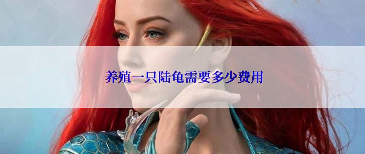  养殖一只陆龟需要多少费用