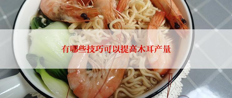 有哪些技巧可以提高木耳产量