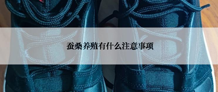  蚕桑养殖有什么注意事项
