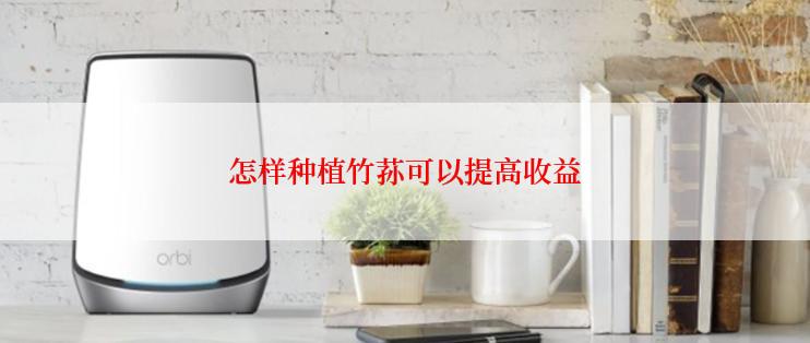 怎样种植竹荪可以提高收益