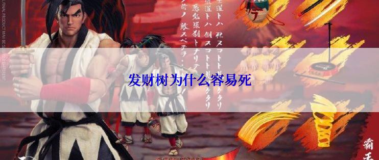 发财树为什么容易死