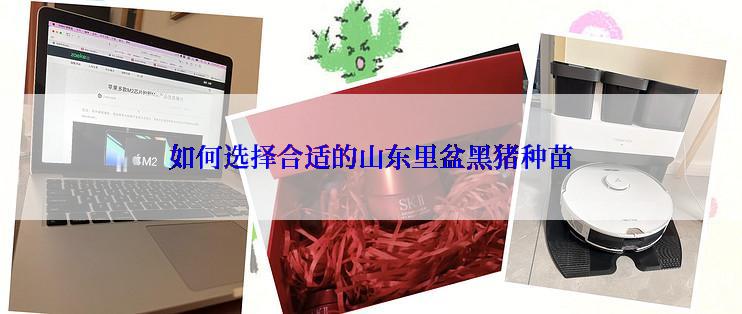 如何选择合适的山东里盆黑猪种苗