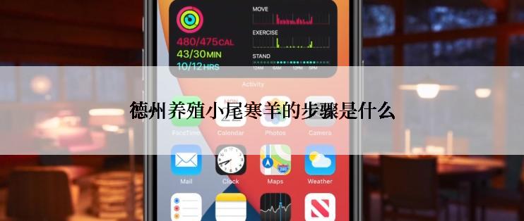 德州养殖小尾寒羊的步骤是什么