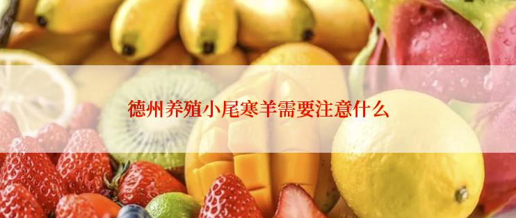 德州养殖小尾寒羊需要注意什么