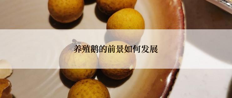 养殖鹅的前景如何发展
